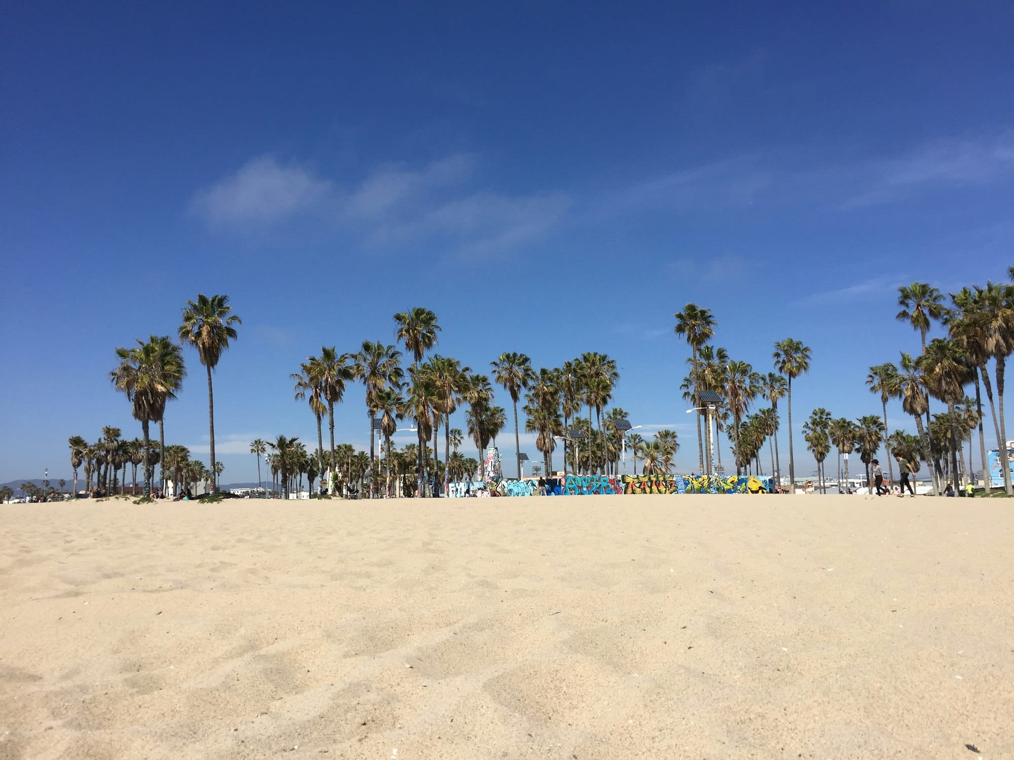 a sandy beach with palm trees and a blue sky