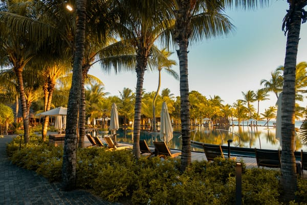 A palm-lined path beside a long resort pool with lounge chairs and umbrellas in warm late-afternoon light